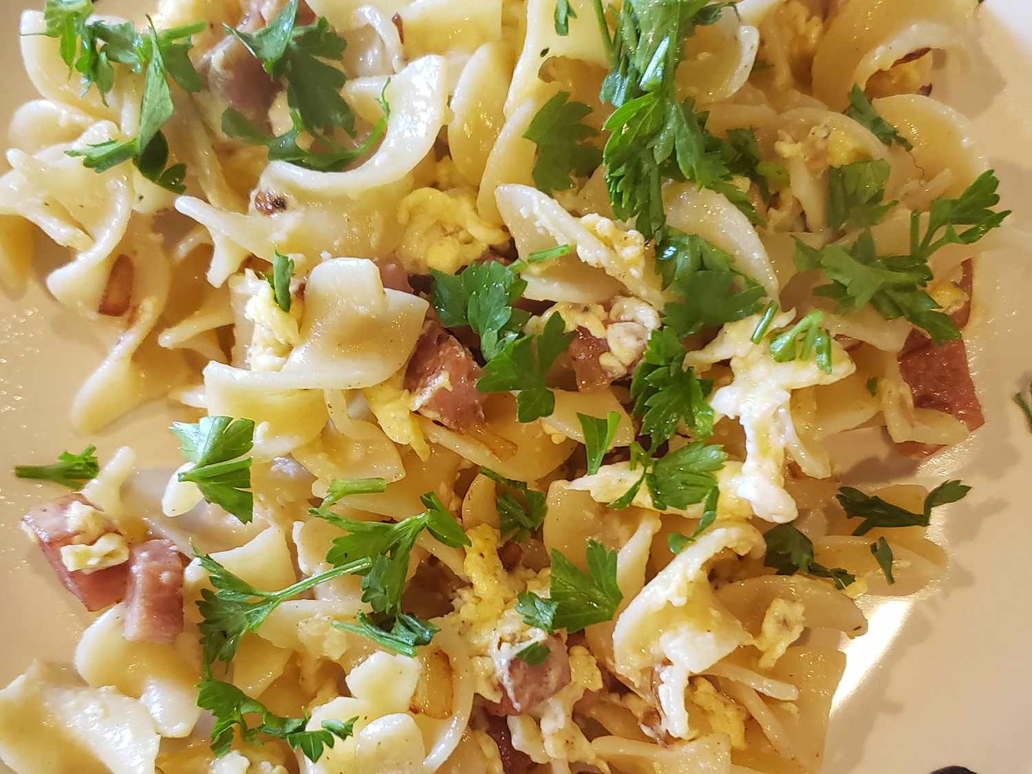 Ham and Egg Noodles (Schinkennudeln)