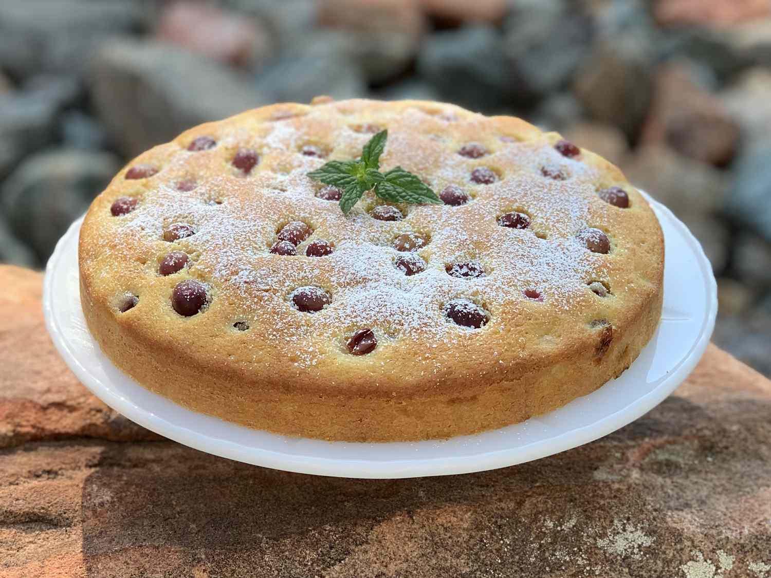 Italian Fresh Purple Grape Cake